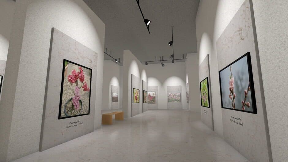 Museum of All Things screenshot 5