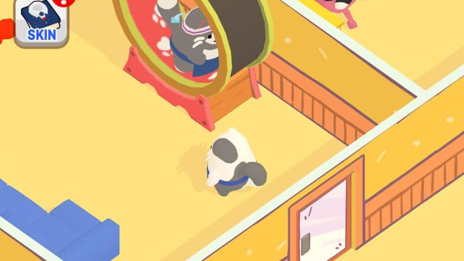 Cats Story