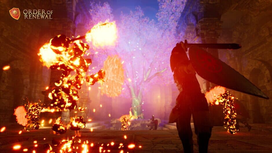 Order of Renewal screenshot 6