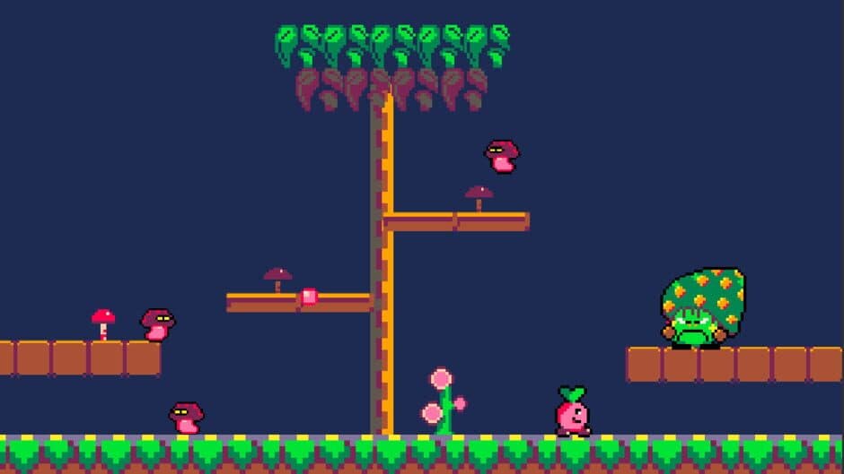 Adventures of a Radish