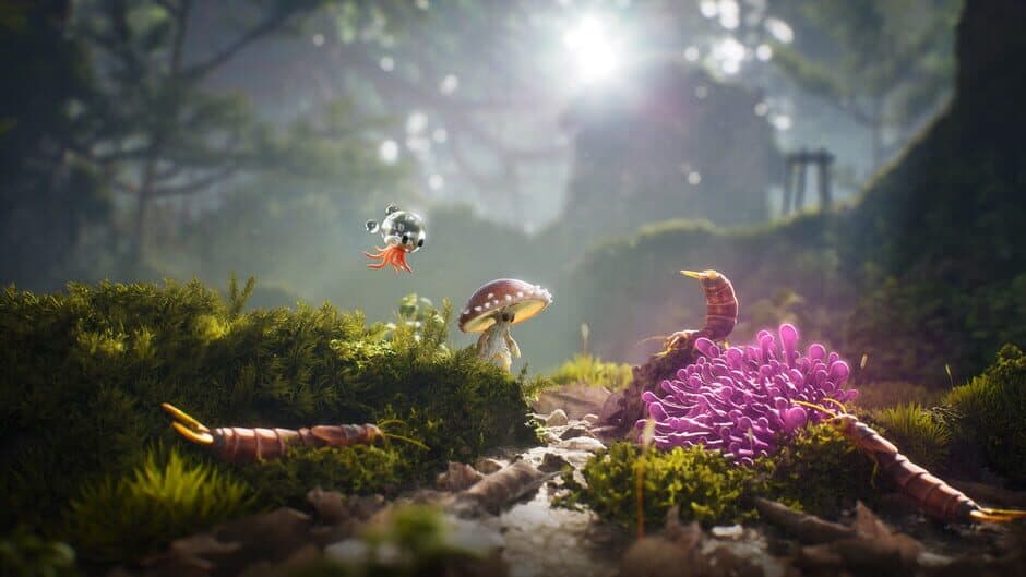 Dew screenshot 4