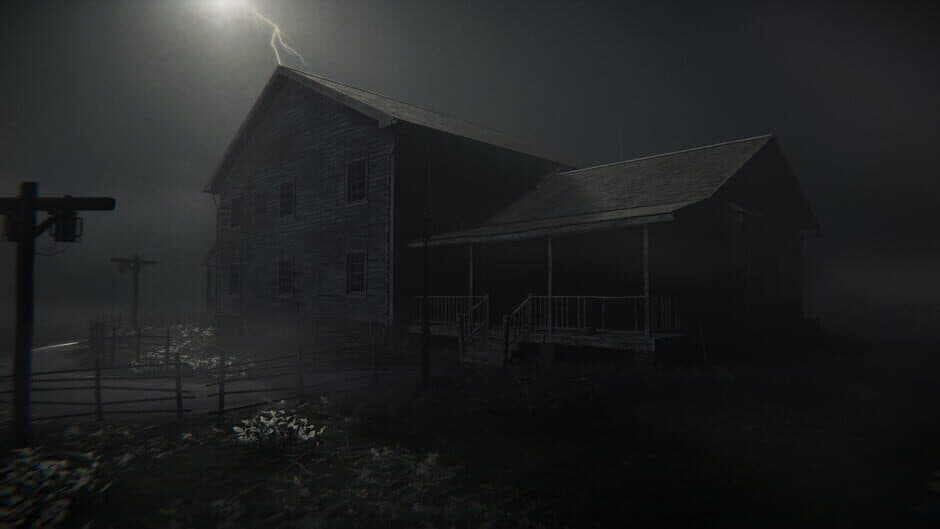 The Wellmonts Case