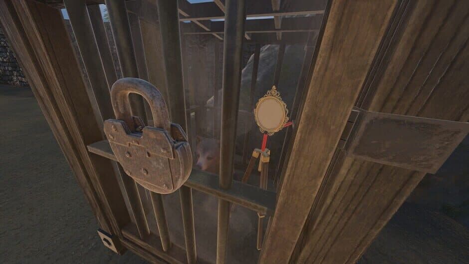 Mirrorlight screenshot 3
