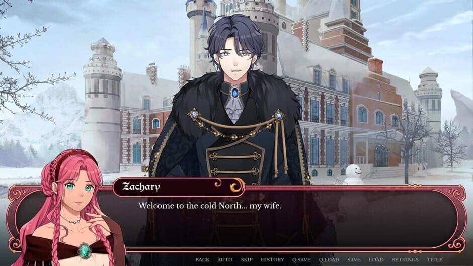 My Wife is a Spy?!