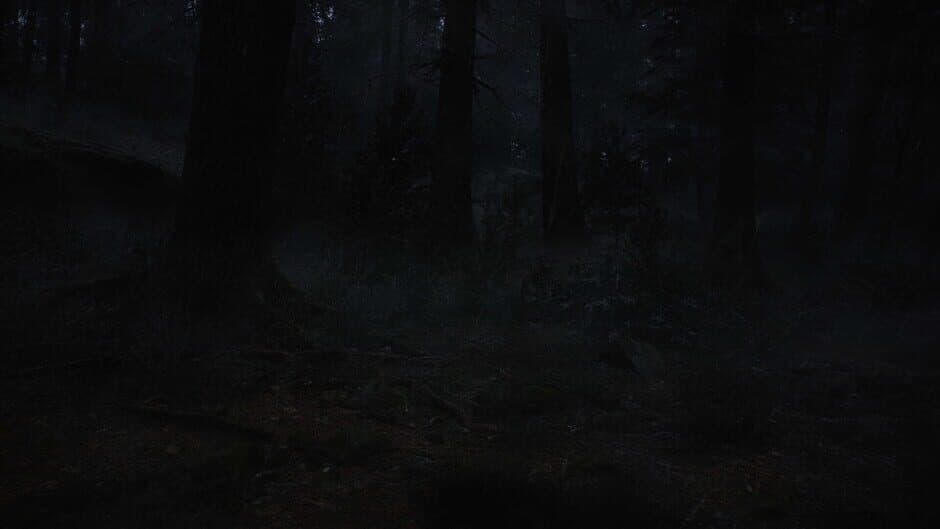 Whispers in the Fog