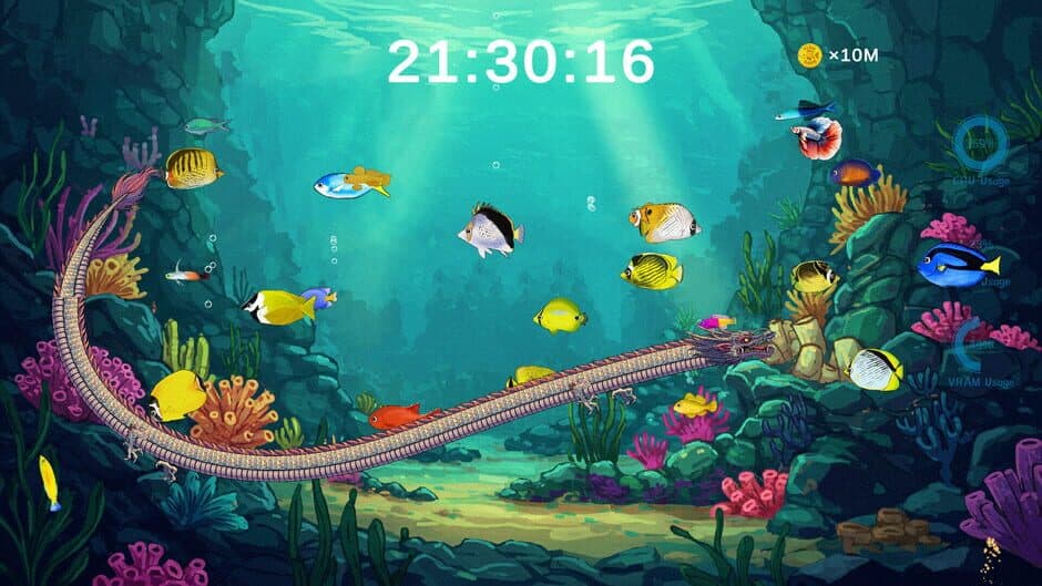 Touch Fish