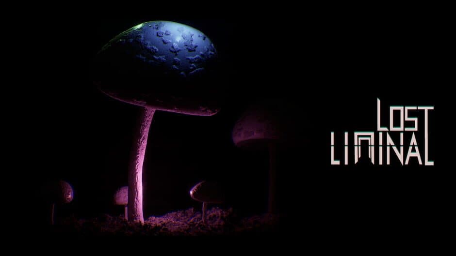 Lost Liminal screenshot 4