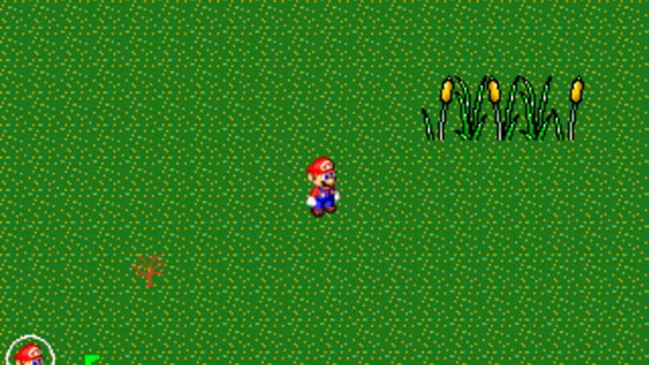 Mario for the Masses