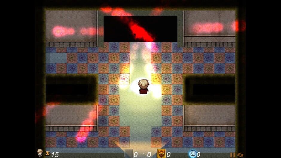 DSS screenshot 5