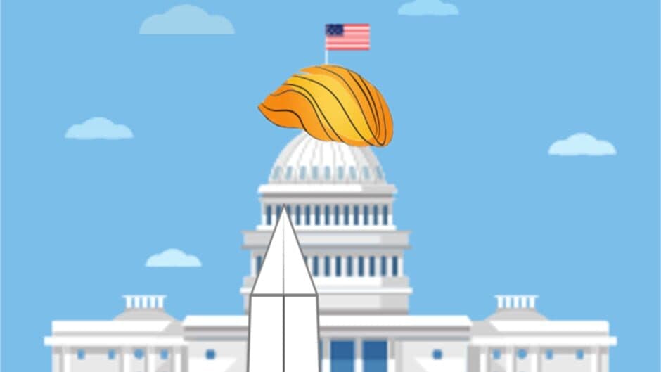 Flappy Trumpadore screenshot 2