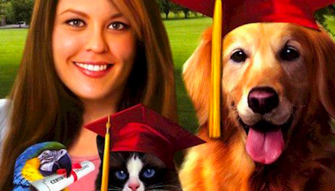 Paws & Claws: Pet School