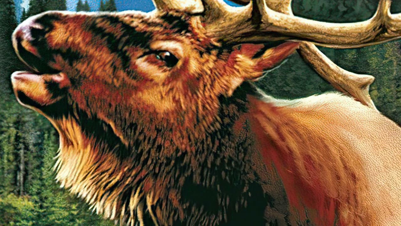 Cabelas GrandSlam Hunting: 2004 Trophies