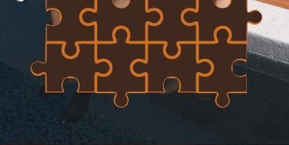 Jigsaw Puzzle - Futanari Pool Party