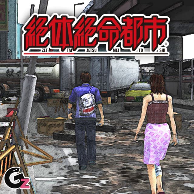 Disaster Report