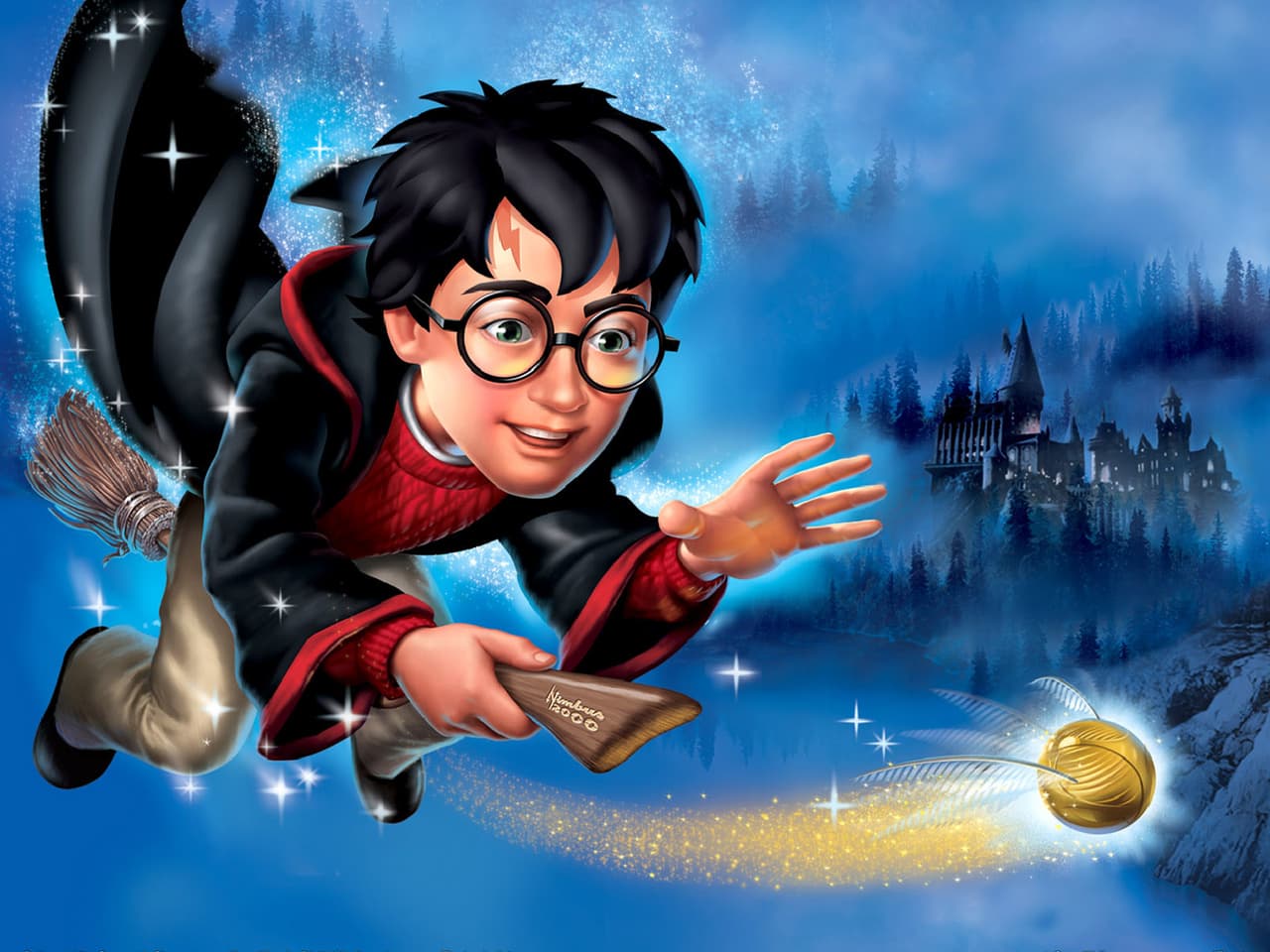 Harry Potter and the Sorcerers Stone