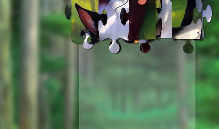 Furry Dream