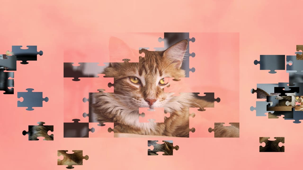 Jigsaw Puzzle Cats screenshot 3