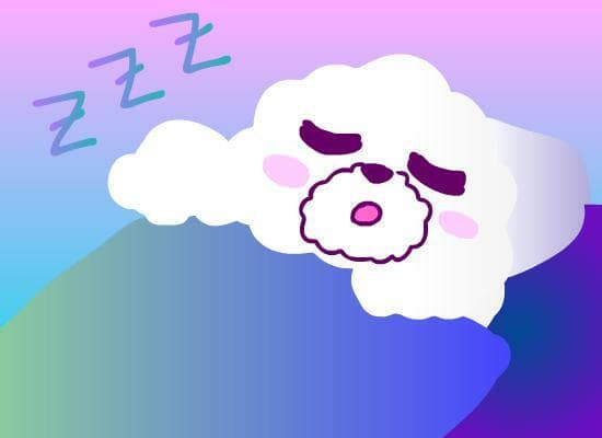 Willy is Sleeping...💤