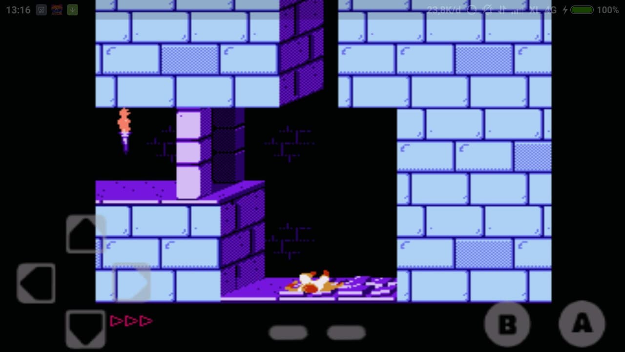 prince of Persia screenshot 2