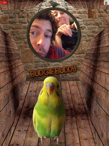 Budgie Buddy screenshot 3
