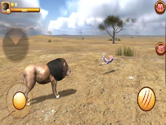 Wild Lion Adventures screenshot 3