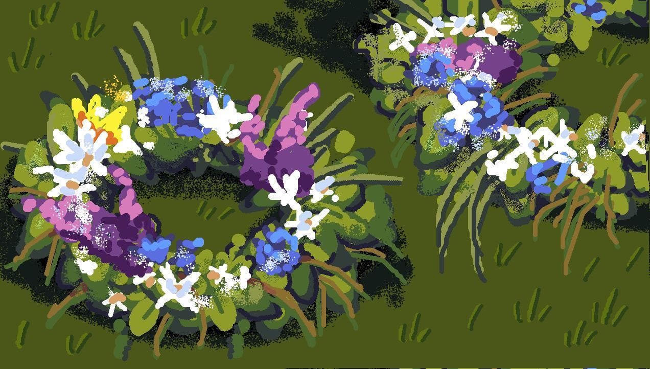 Kupalas Meadow
