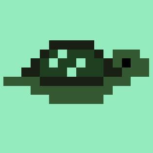 TurtleBomb