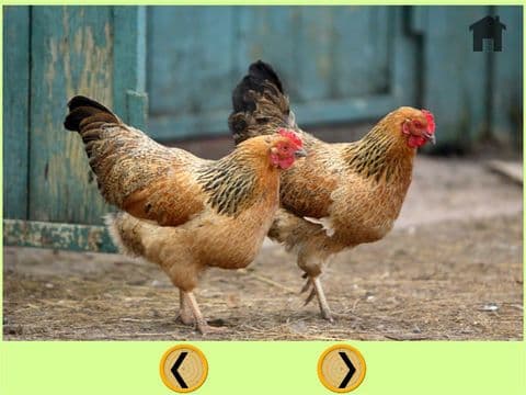 nice farm animals for kids - free