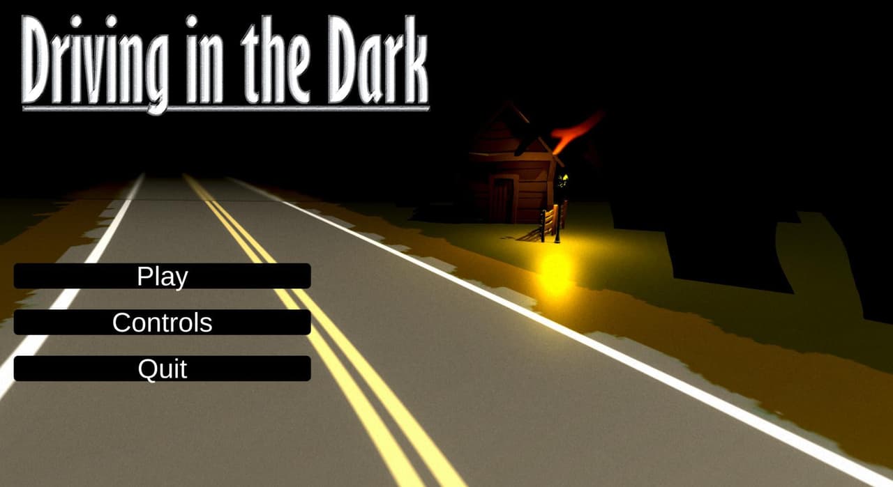 Driving in the Dark