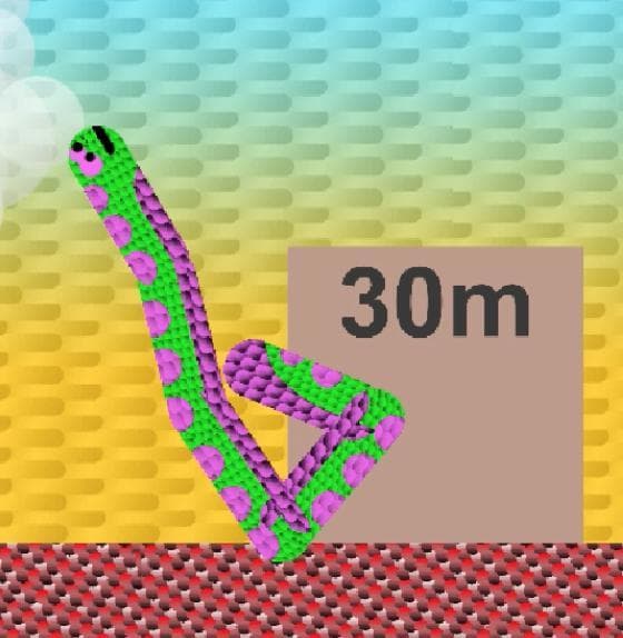 Noodle Olympics AV Prototype screenshot 2