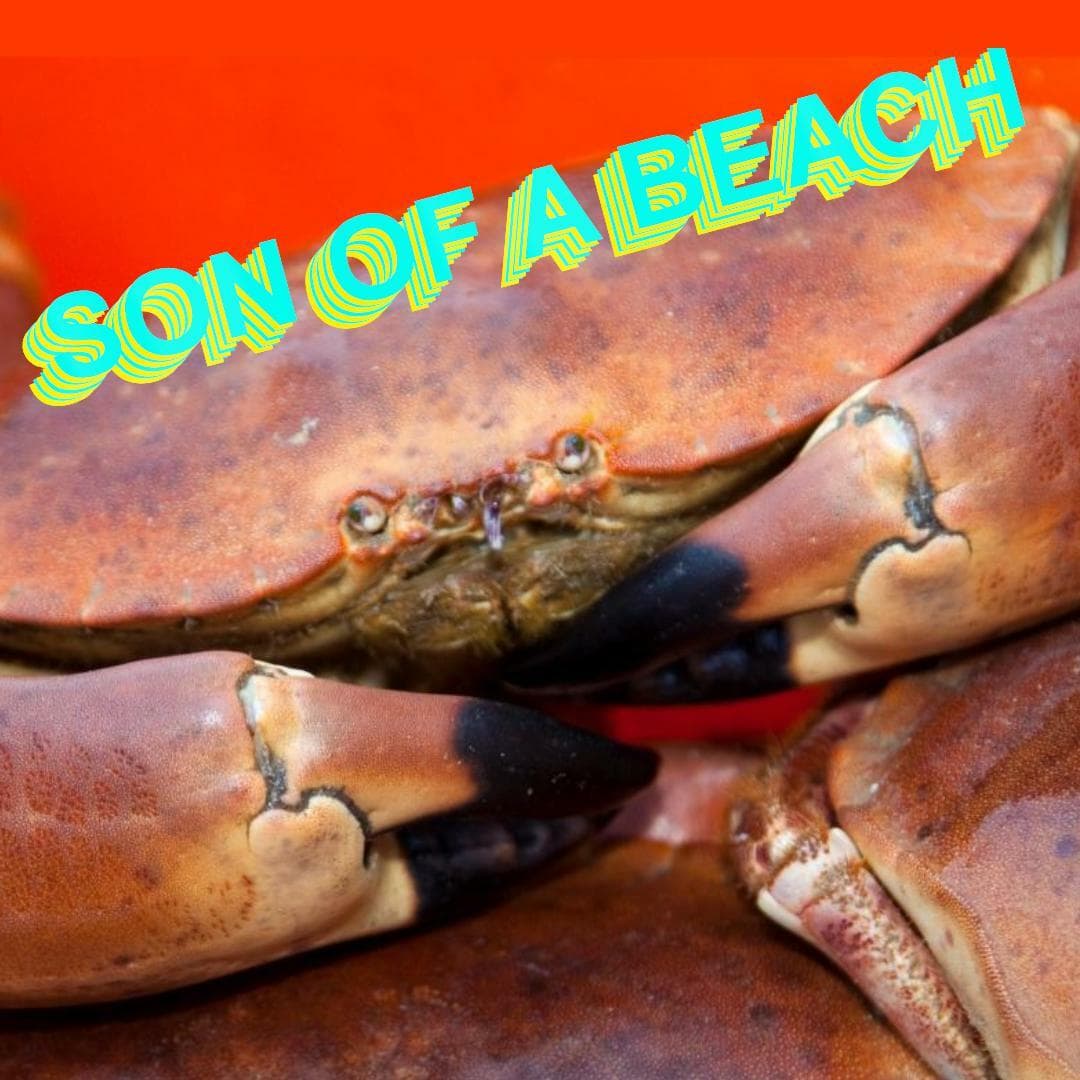 SON OF A BEACH!