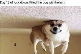 good luck (lifts)