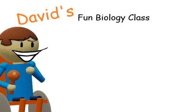 Davids Fun Biology Class