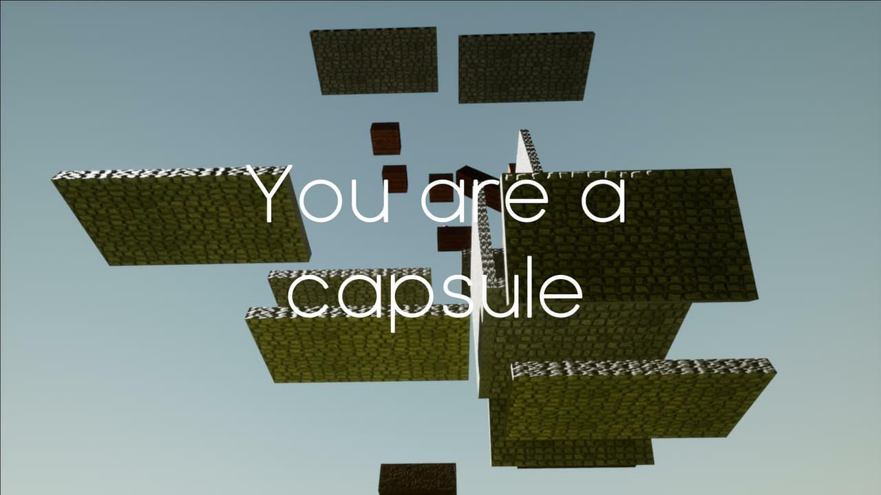 You are a capsule