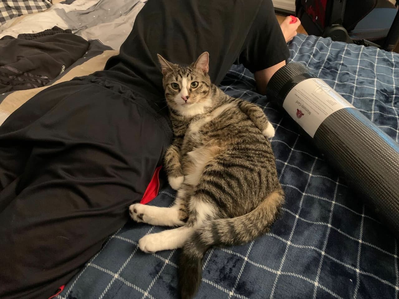 Ziggys Snack Time