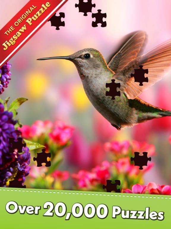 Jigsaw Puzzle Pro screenshot 2
