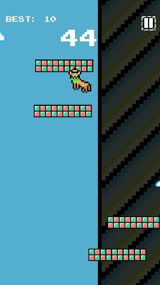 Jumpy Cat