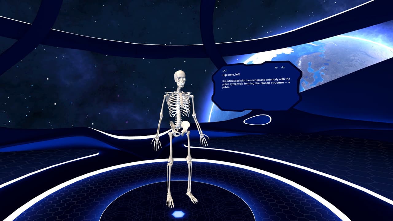 Human Anatomy VR screenshot 2