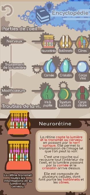 Ocularium