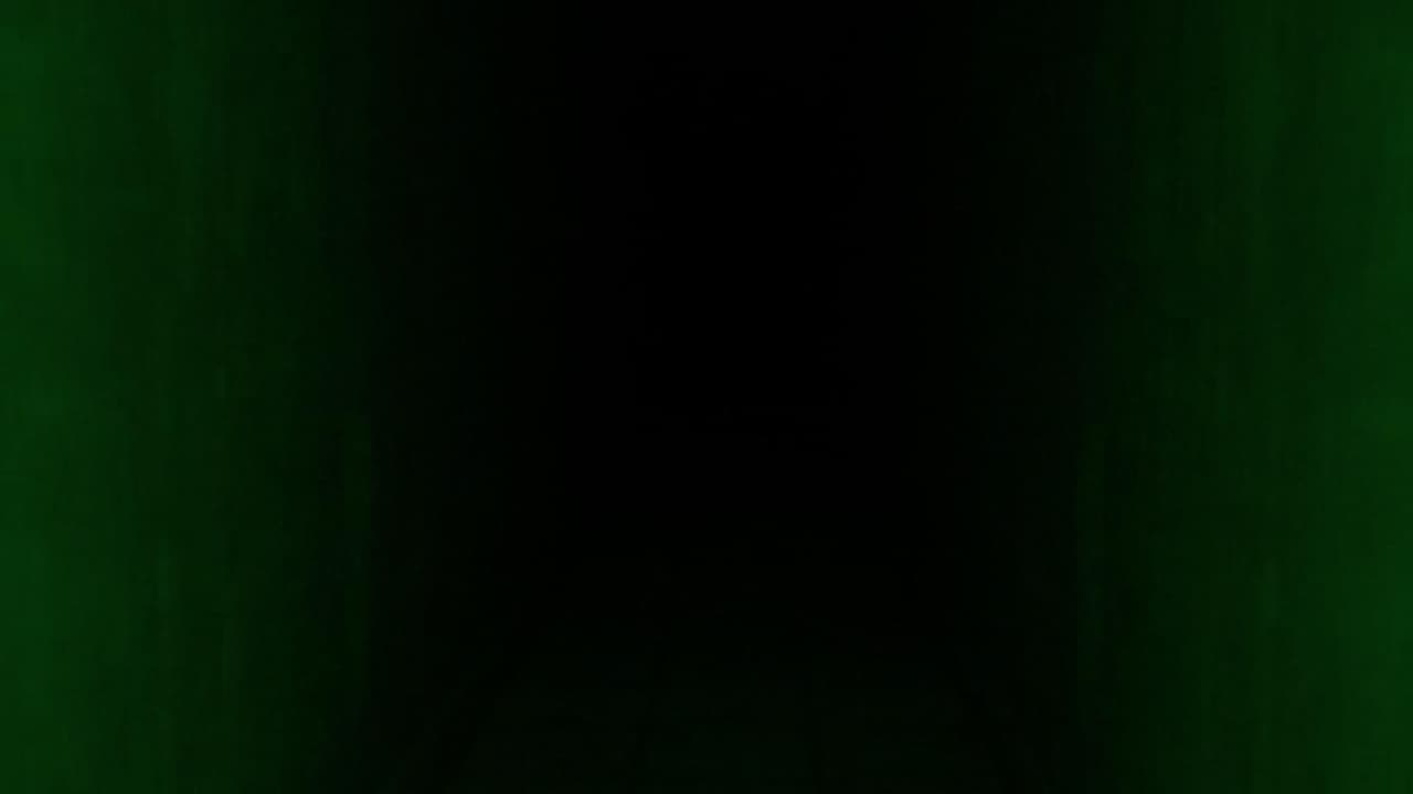 FeedVid screenshot 3