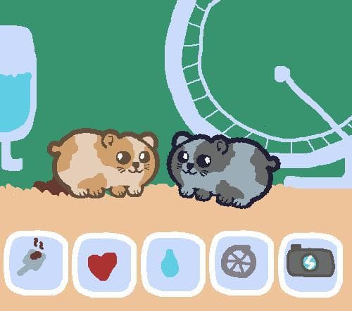 Banjo the Hamster