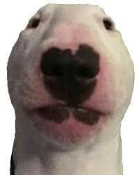 Joe (video game)