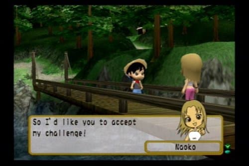 River King: A Wonderful Journey screenshot 3