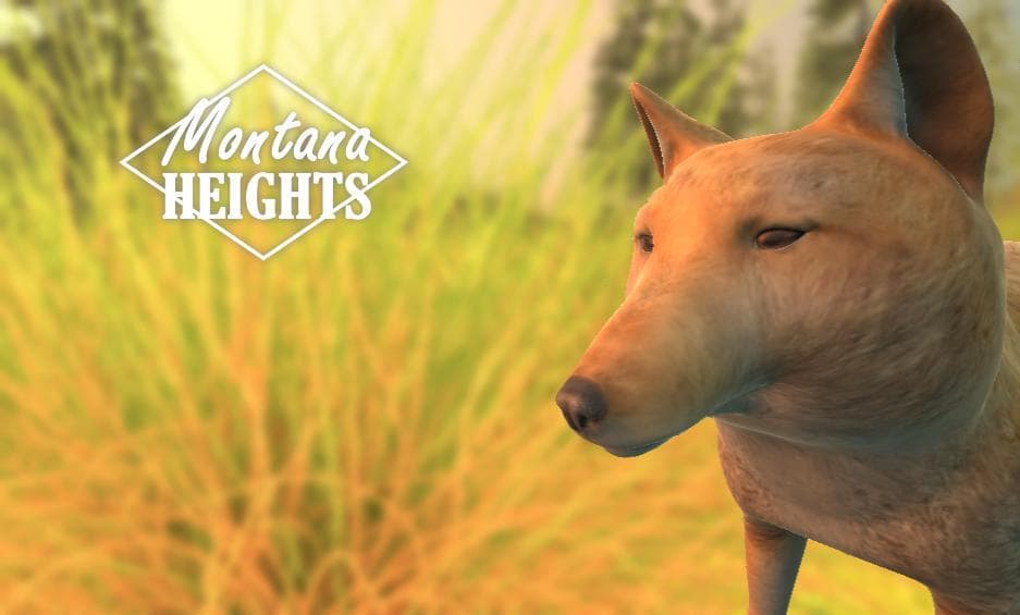 Montana Heights screenshot 3
