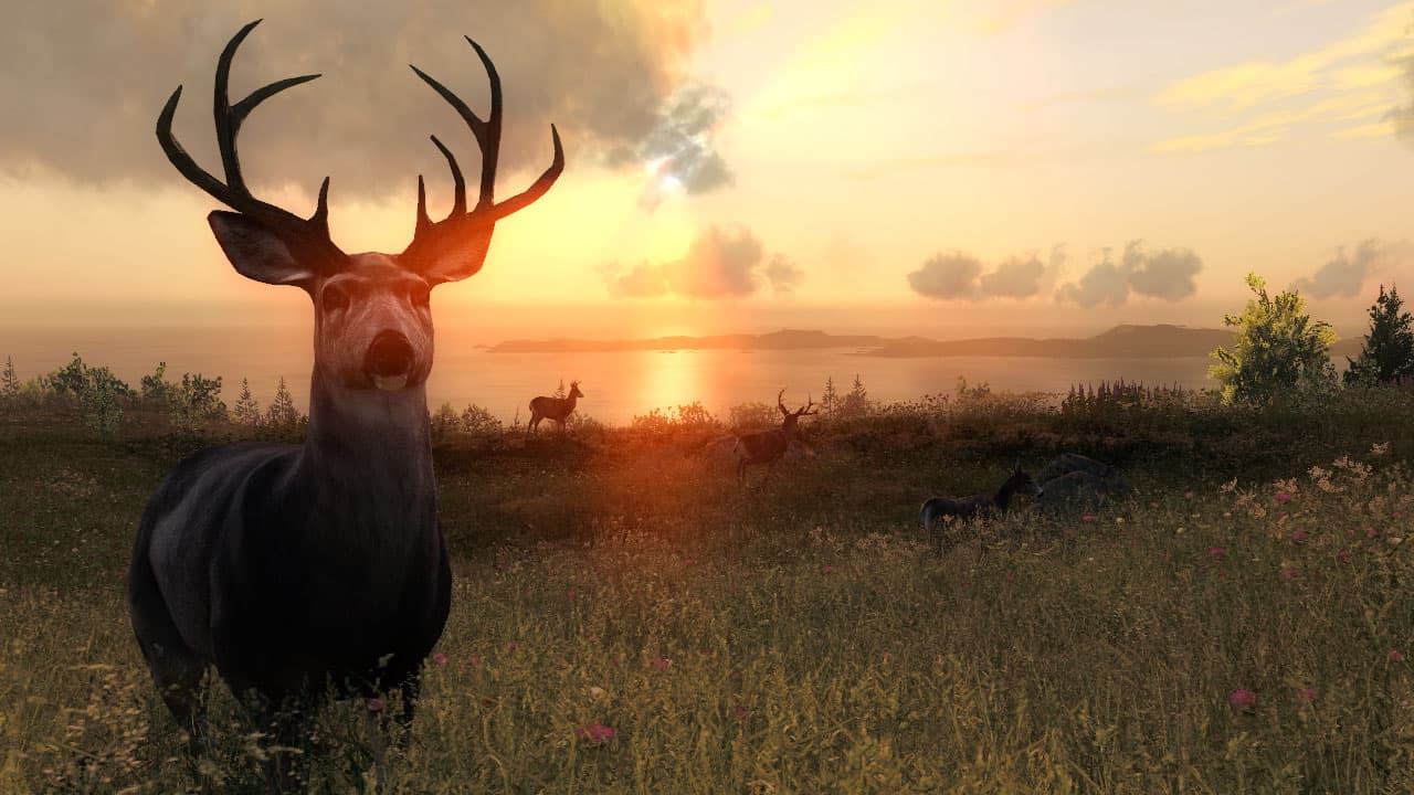 theHunter screenshot 4