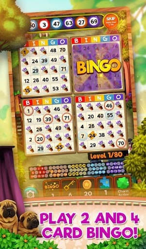 Bingo Pets Party: Dog Days screenshot 3