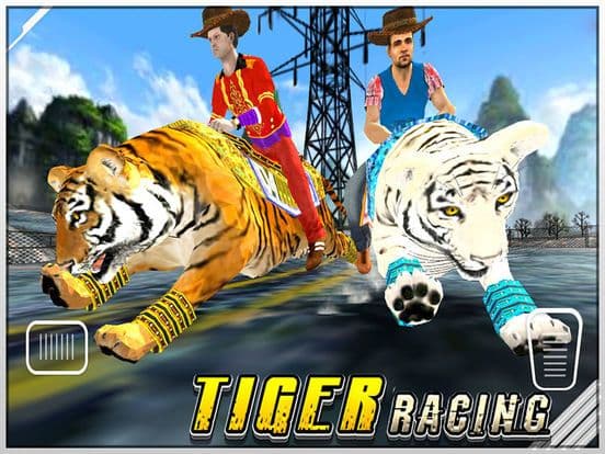 Tiger Racing: Simulator Race screenshot 3