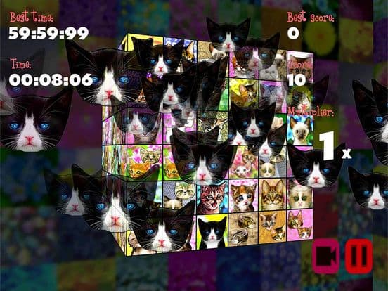 Kittenistry screenshot 2