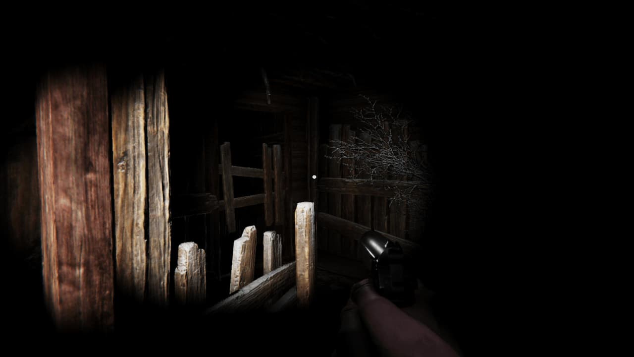 Silence In The Cabin (Demo)