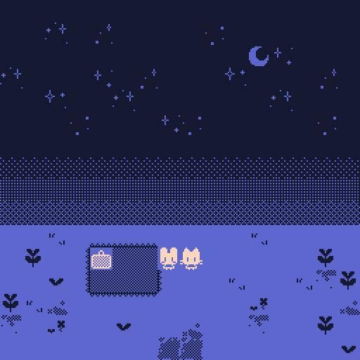 a picnic under the stars